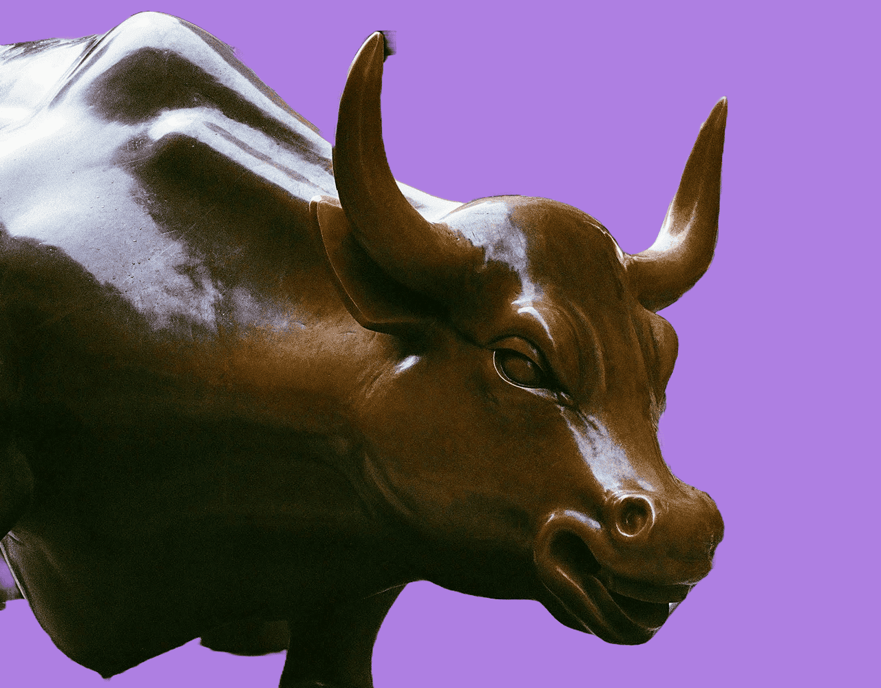 The New York Stock Chain Is Being Built Now